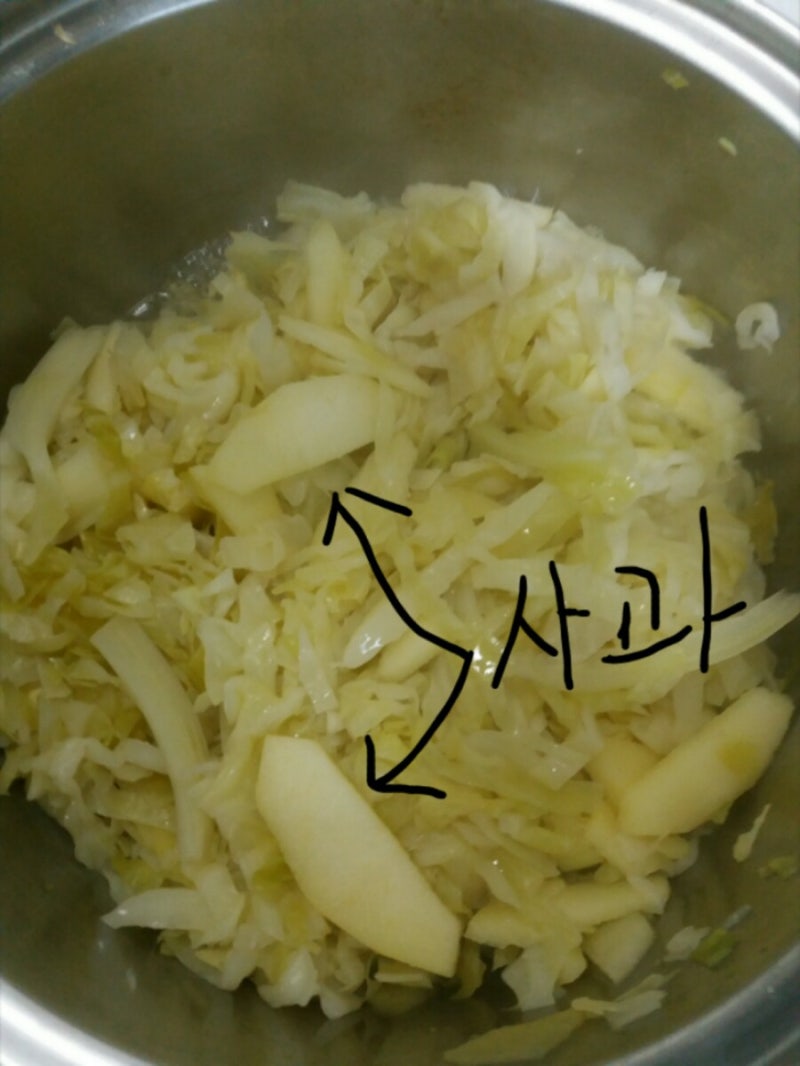 양배추 초절임으로 오늘부터 다이어트 1일~