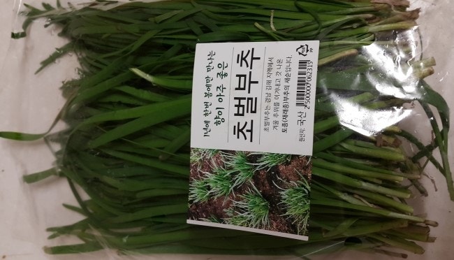 부추뿌리효능도 참 좋네요