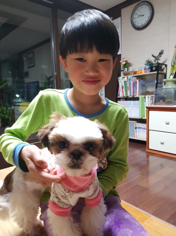  귀요미 콩시츄 라라의 일상~