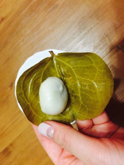 망개떡과 망개나무를 알게 된 하루 : 네이버 블로그