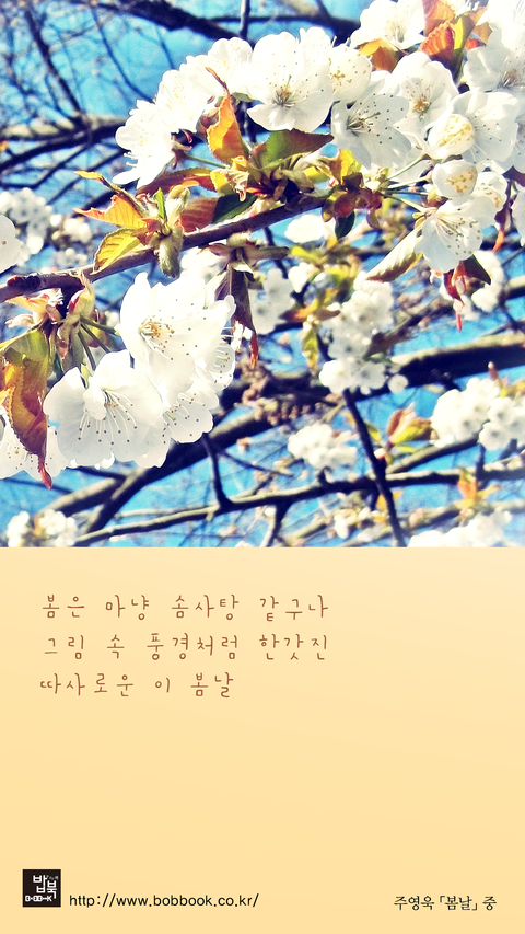  좋은 시 42_ 주영욱 <봄날>_________ 좋은 시 추천 그리고 배경화면