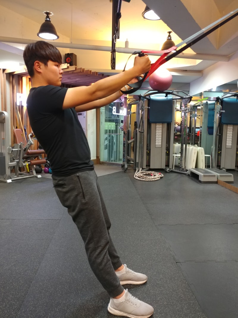 남자 여자 팔 운동! TRX로 자유롭게 난이도 조절하자 : 네이버 블로그