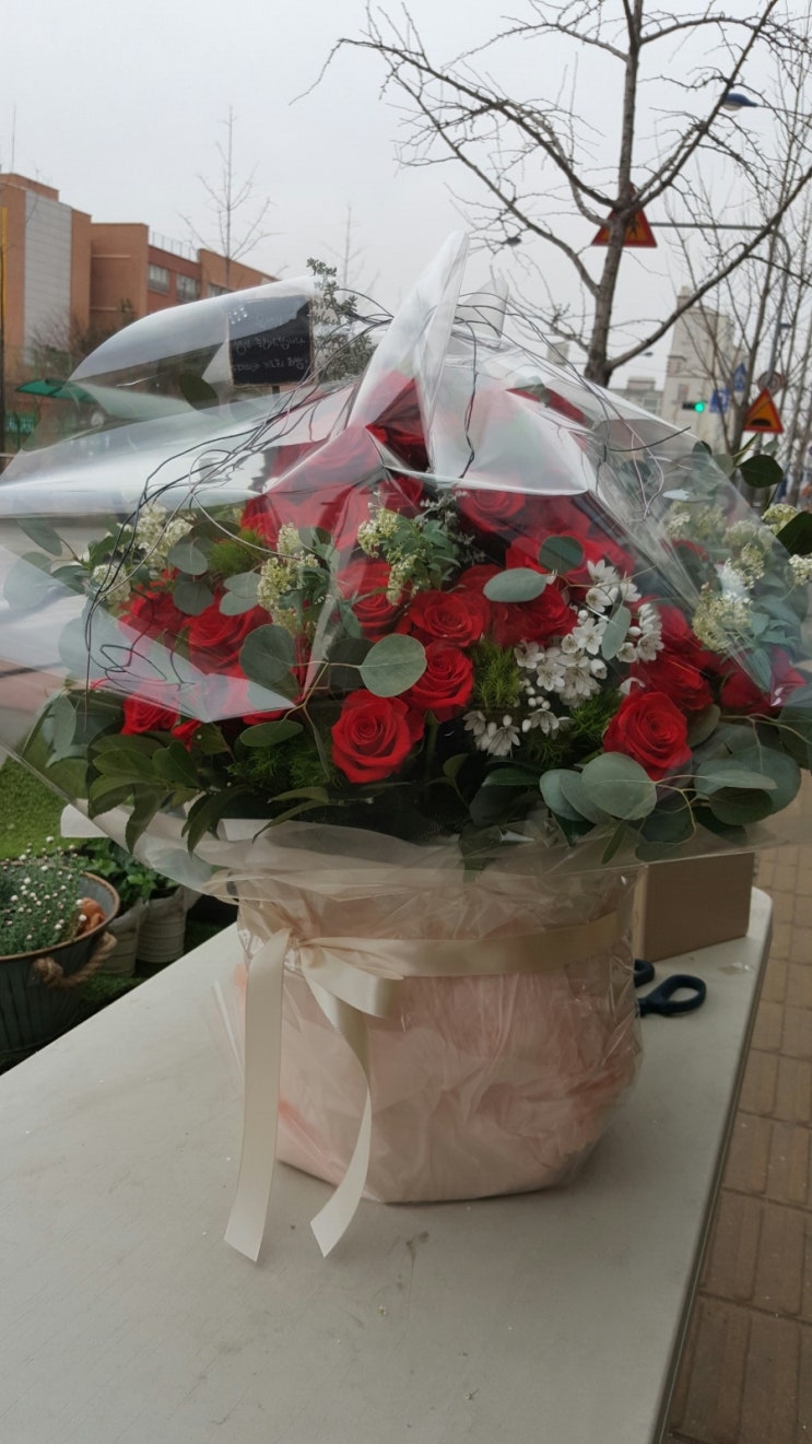 3월 21일 화요일