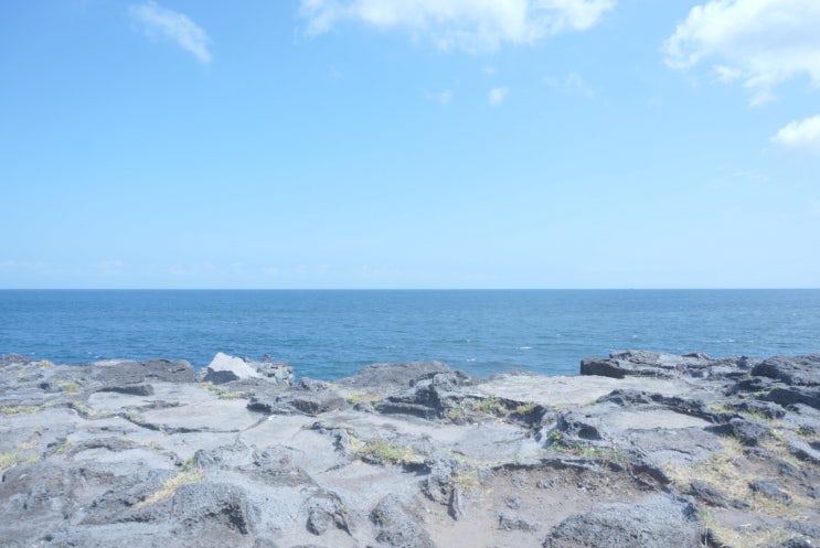  제주도 첫 번째 여행기