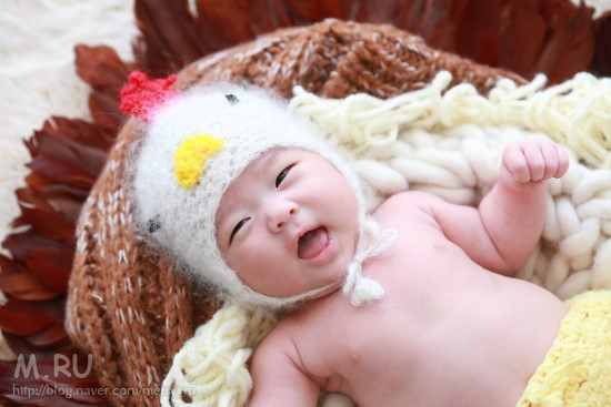 50일촬영 (감성더하기/일산점/포근스튜디오)