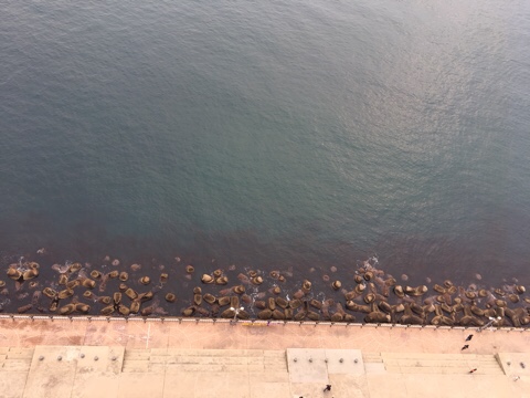 라마다호텔속초