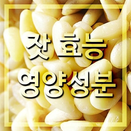  잣 영양성분[잣 효능 알아보기]