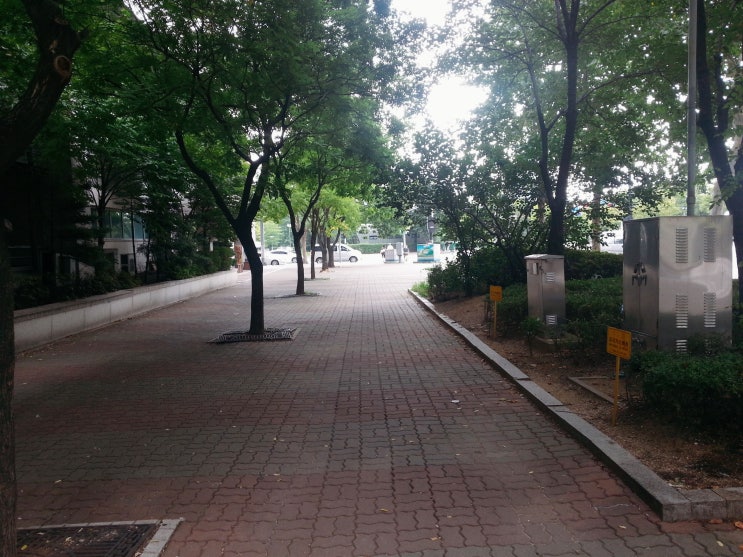  그냥찍음 내사진들