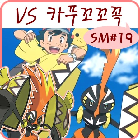  포켓몬스터 썬 문 19화 카푸꼬꼬꼭 지우에게 관심 가득!