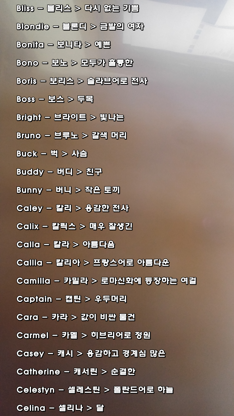 예쁜 여자 영어이름 : 이것만 기억하자. : 네이버 블로그
