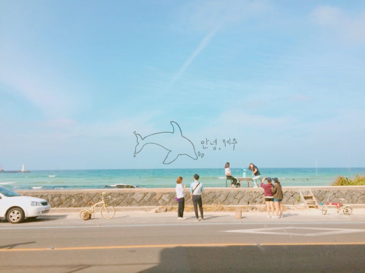  [제주도여행/3일차] 나홀로 여행 / 카멜리아 힐 / 세화해변 / 월정리 해변