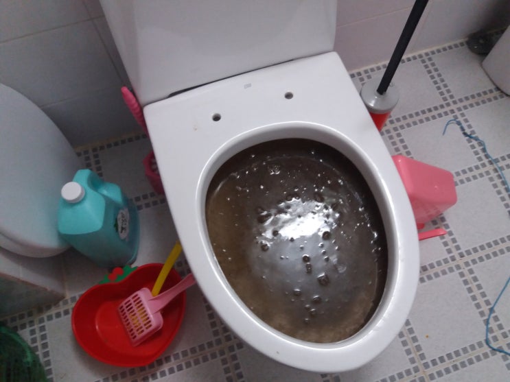  고양이모래 변기 막힘, 구미 산동면 변기 뚫는 곳