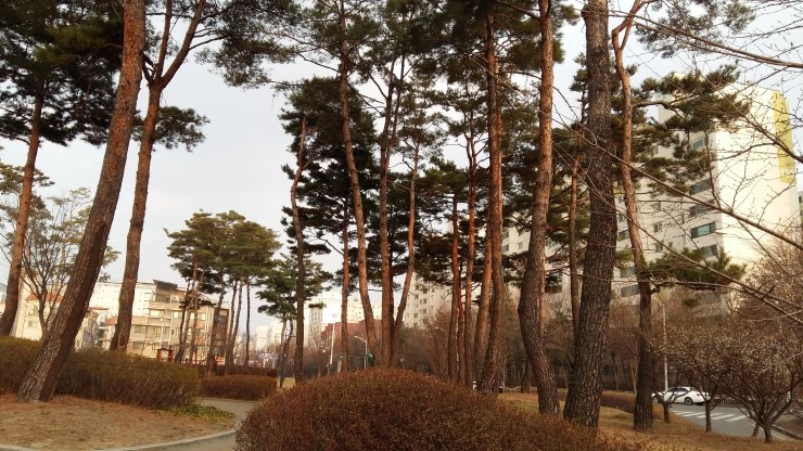  여수지구 성남시청공원1