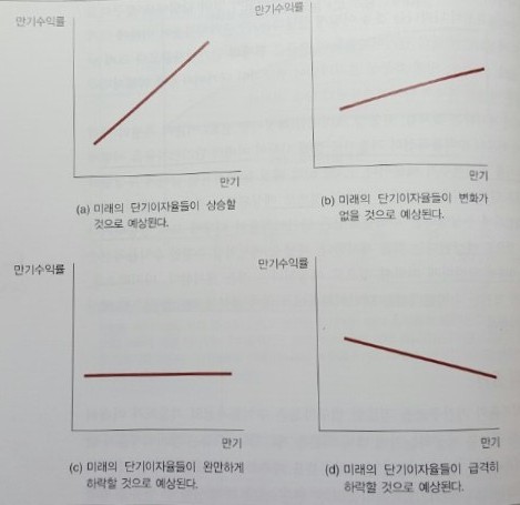  이자율의 기간구조