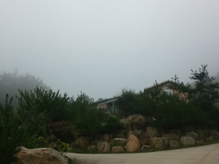 시골집 빌려드립니다.