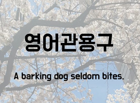  [영어관용구] 18. A barking dog never(seldom) bites. 짖는 개는 물지 않는다.