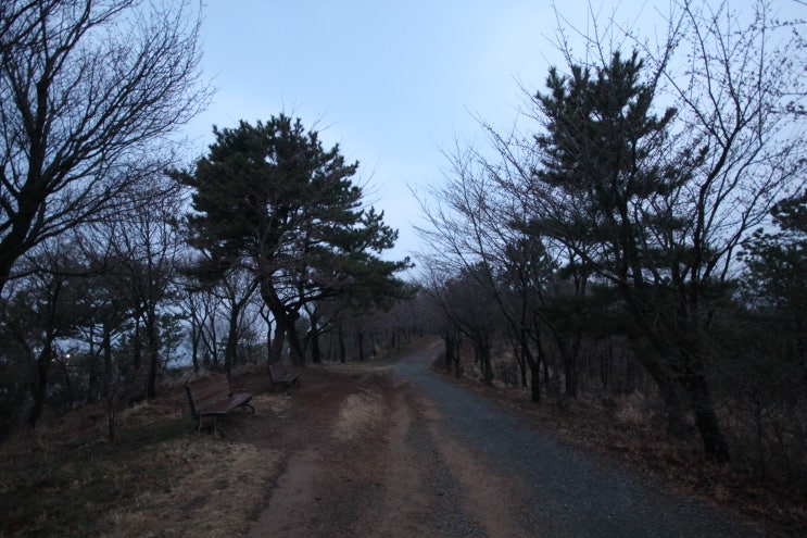 도심과 공업단지를 가로지르는 길, 염포산 다녀온 길