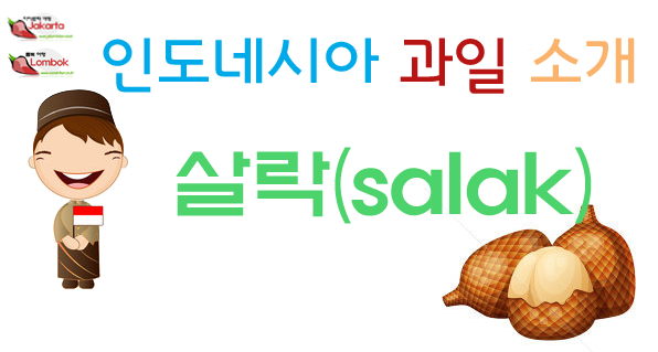  롬복 여행 ) 열대과일 살락<snake fruit>