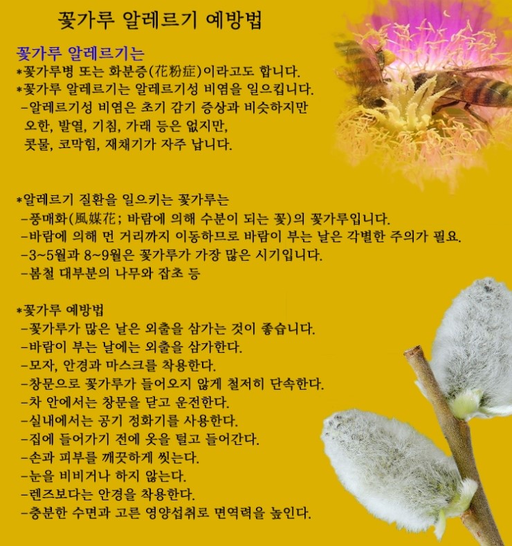 꽃가루 알레르기 예방법