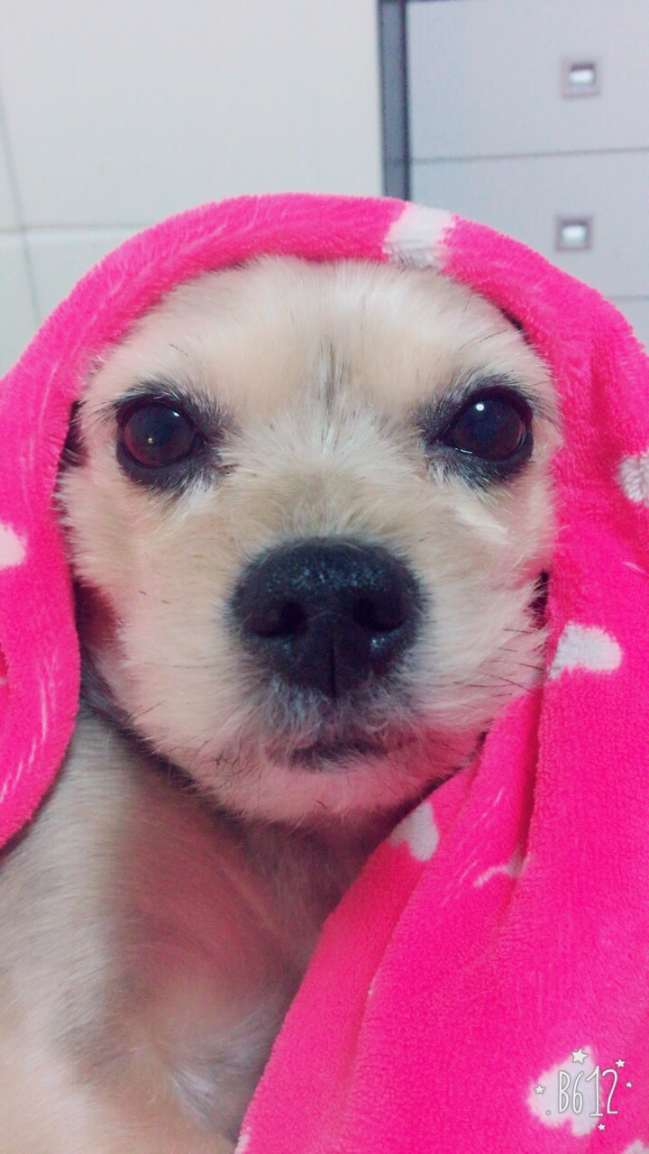  봄이