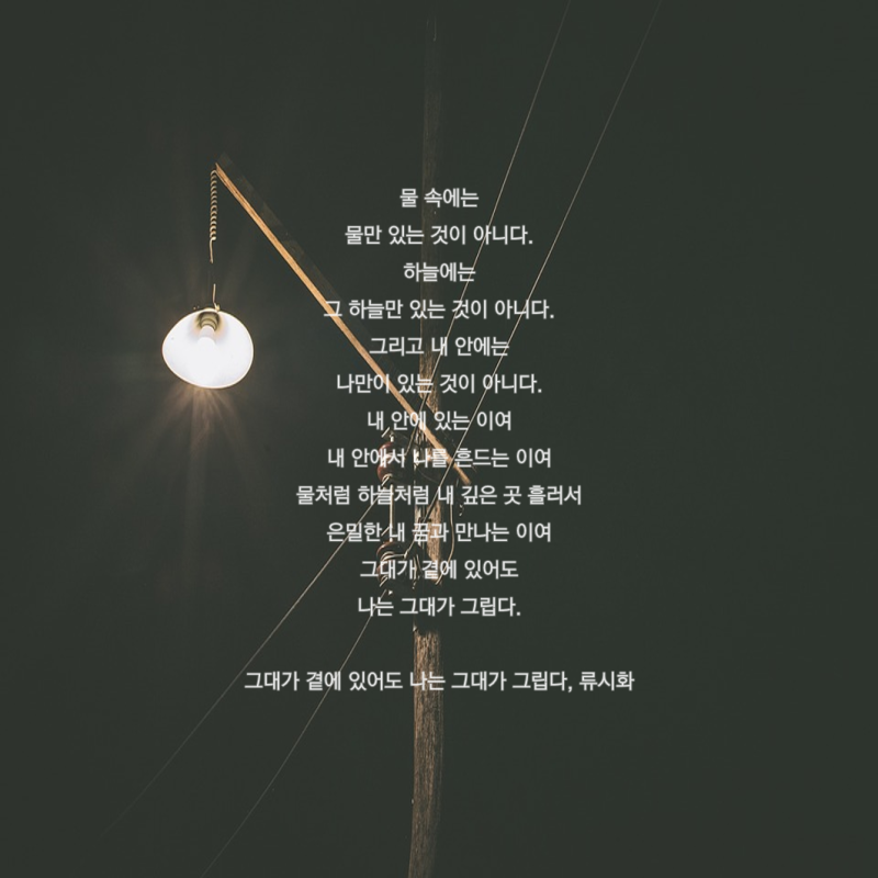 최고의 슬픈 시 100편