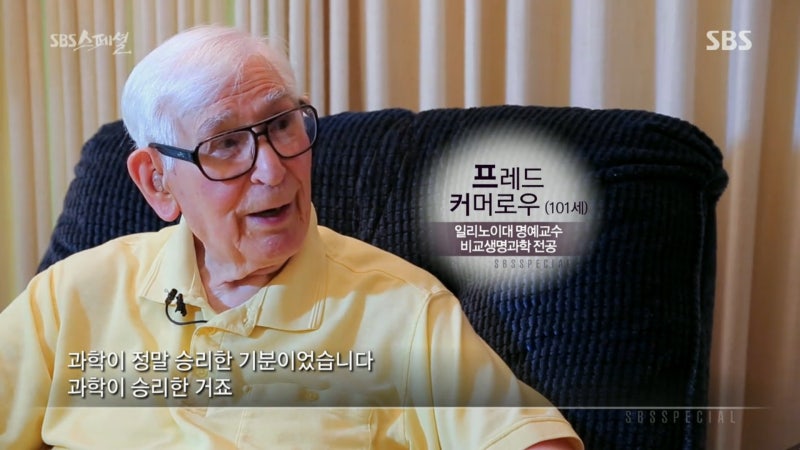 커머로우 이미지