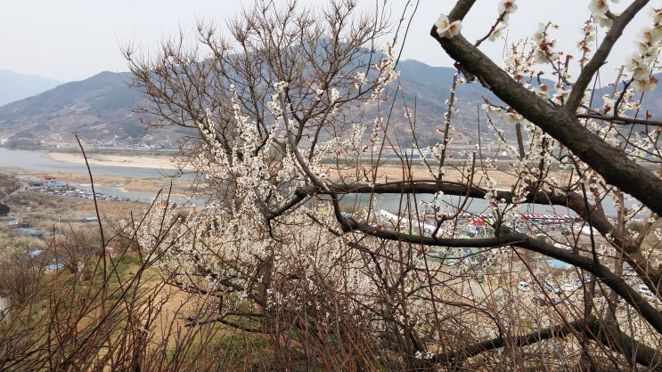 섬진강 마을 풍경과 청매실농원 초가집 전경 섬진강 마을 풍경과 청매실농원 초가집 전경