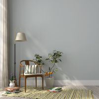  [마카롱페인트]라이트그레이(Lightgrey)NP-204