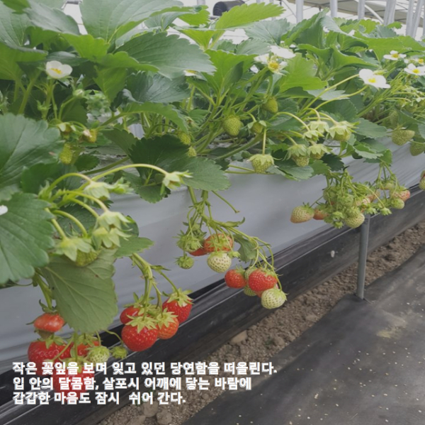  내가 잊고 있던 작은 것