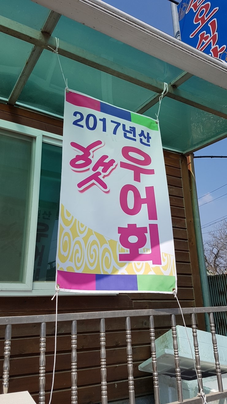  논산 부여 맛집 우어회(웅어) 임금님께 진상한 우어회 3~4월이 제일 맛있어요 