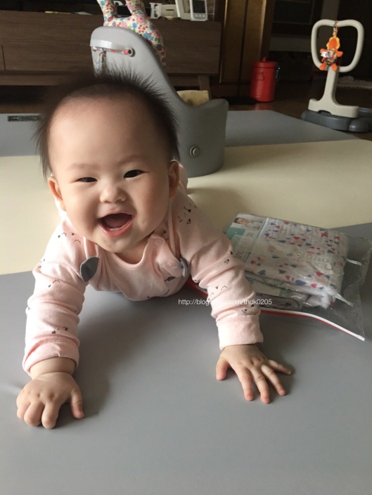  기기 시작한 금북이 (7개월발달 +223일)