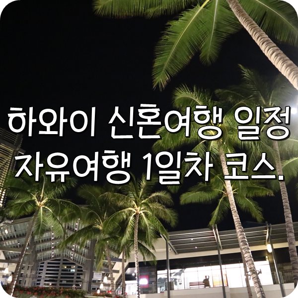  하와이 신혼여행 일정. 하와이 자유여행 코스 1일차