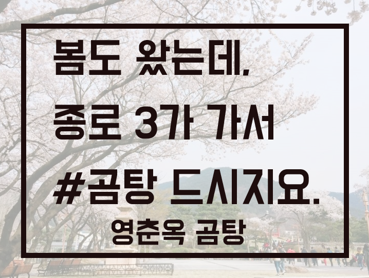  종로 3가의 오래된 노포 영춘옥 곰탕 먹고 왔어요.