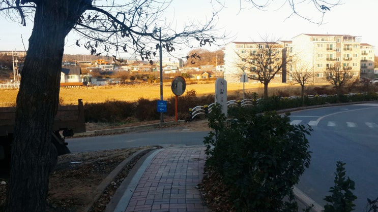  그냥찍음