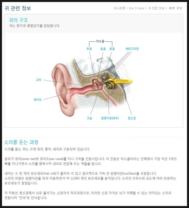  <안양보청기> 보청기 구매 너무 힘들어요? <평촌덴마크보청기>