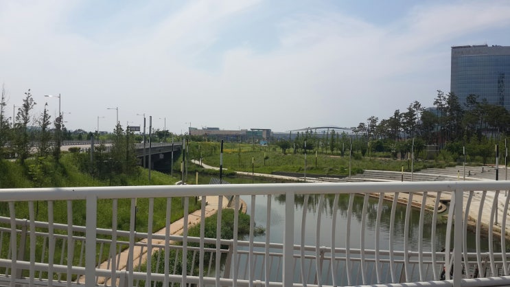  그냥찍음