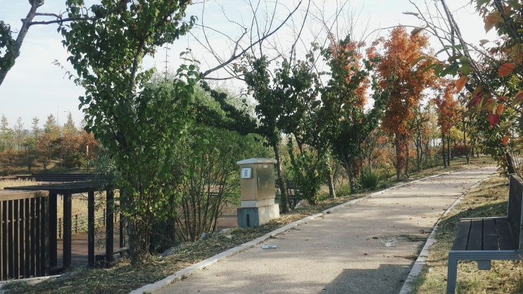  그냥찍음