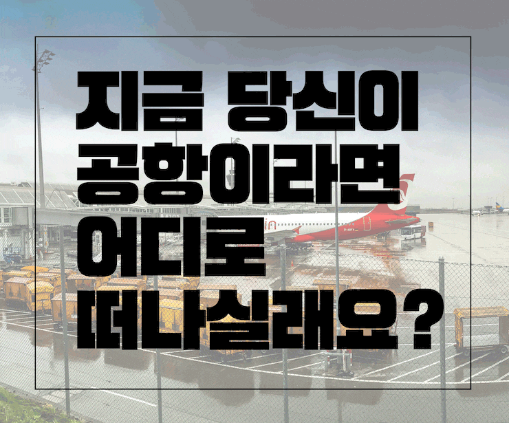 지금 공항이라면 당장 떠나고 싶은 곳은?!