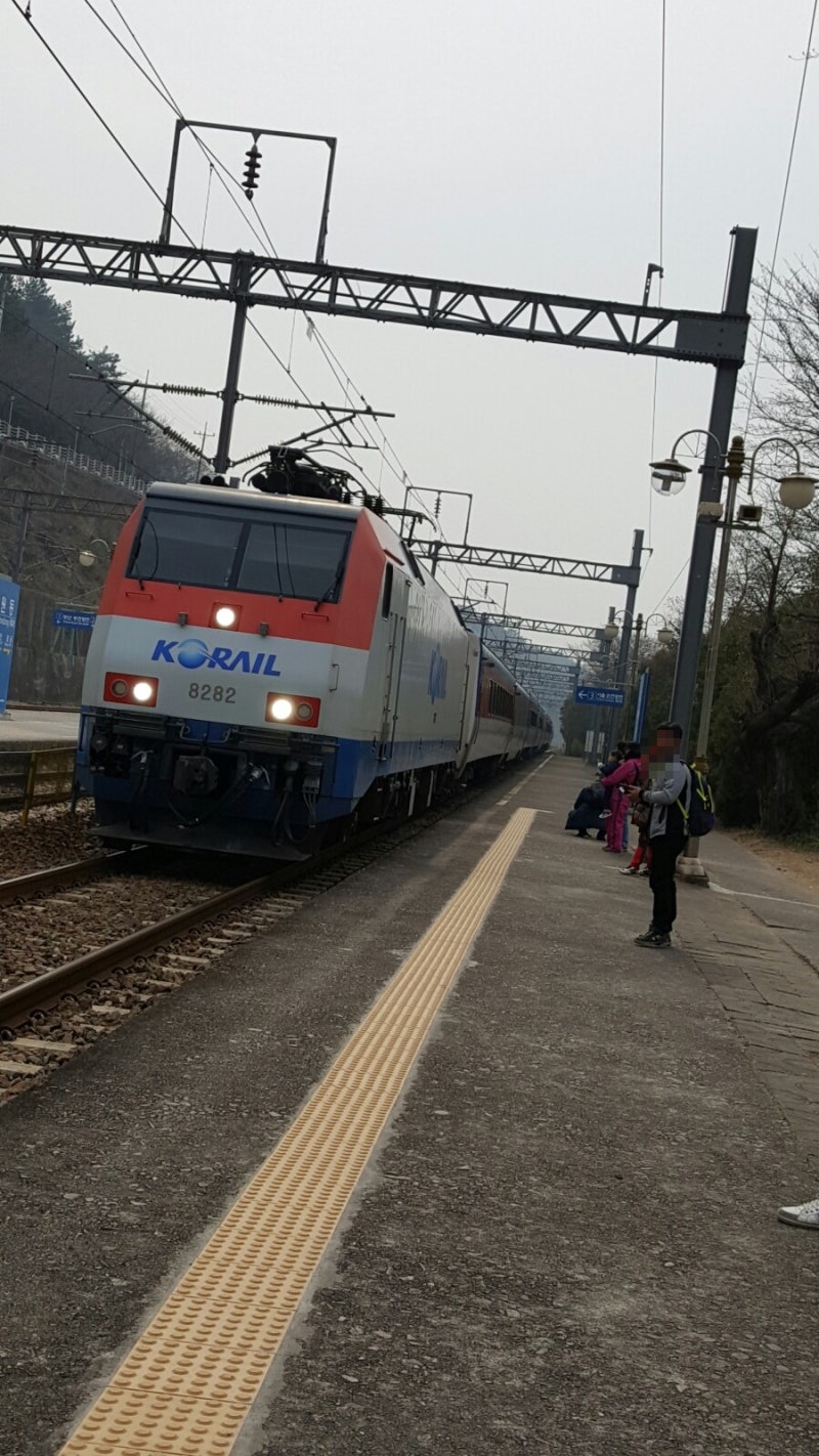 동대구역 Ktx Srt 열차(기차)시간표 일반 Itx (새마을호 무궁화호)열차 시간표 확인 하세요 : 네이버 블로그