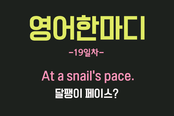  [영어관용구] 19. At a snail's pace & 네고 뜻