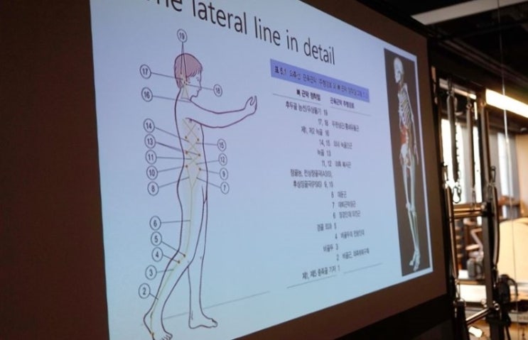 더핏 이미지