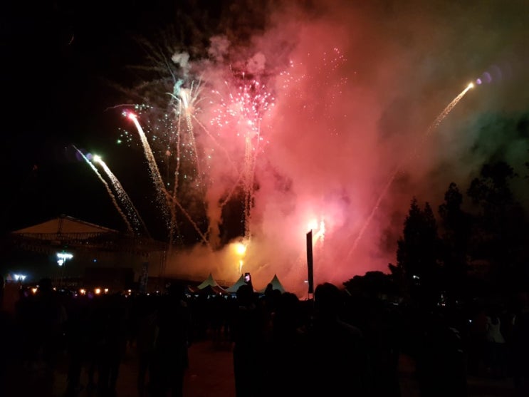  2017고양호수예술축제~ 불꽃놀이