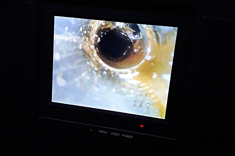 하수구막힘정화조변기싱크대막힘뚫어주는곳세면대소변기수리 이미지