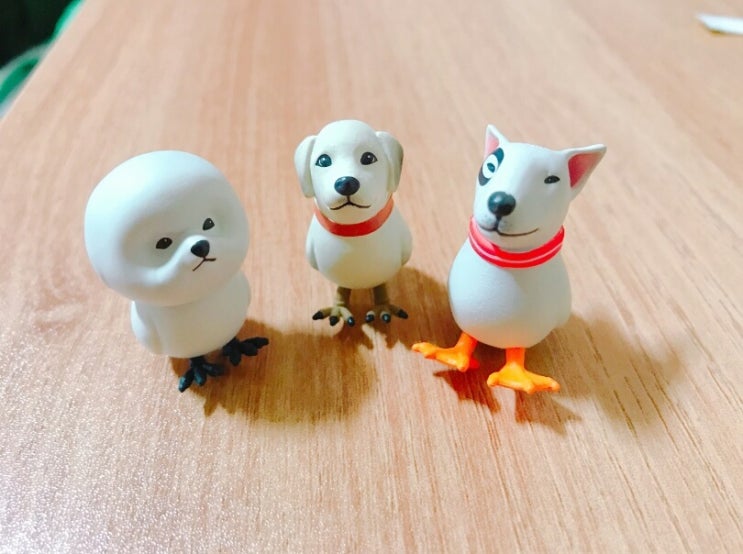  이번엔 댕댕이 자랑! 여러분의 반려견을 자랑해주세요