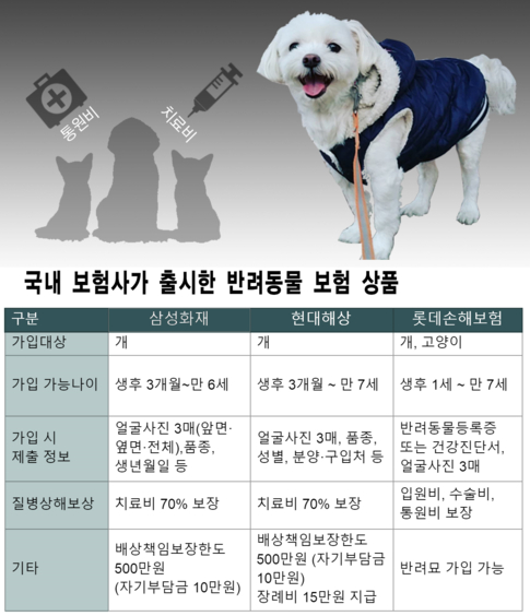 사람보다 비싼 반려견 병원비, 보험으로 대비할까