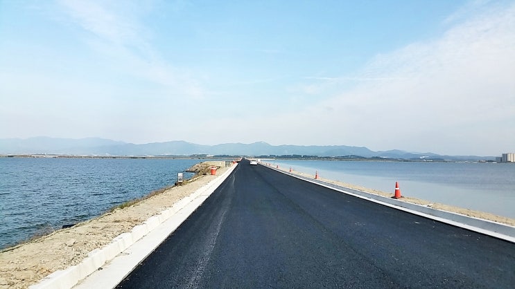  서산여행 가장 서산다운곳 서산여행 반드시 들러야할 간월호 관광도로 갈대숲,억새숲,코스모스,철새
