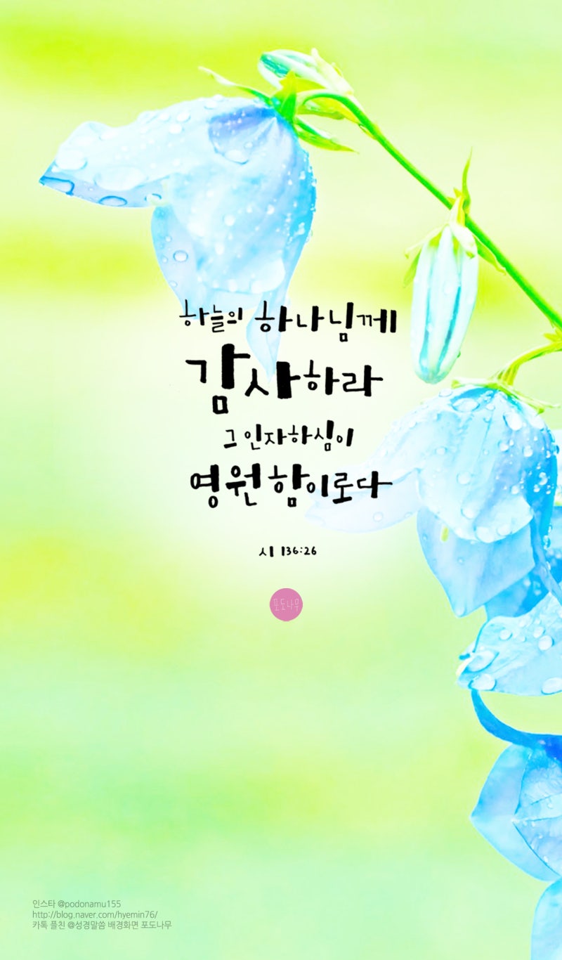 2017.11.29 캘리그라피 성경말씀 배경화면 포도나무 (시136:26) : 아침 : 네이버 블로그