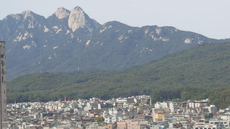  오랜만에 집에 갔다 잠만 푹자고 나왔어요