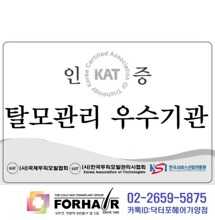 두피의 유형에 따른 관리(중성두피,건성두피,지성두피)발산 마곡 상암 탈모 두피의 유형에 따른 관리(중성두피,건성두피,지성두피)발산 마곡 상암 탈모