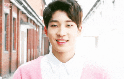 [세븐틴 빙의글] 신혼일기 CAST
